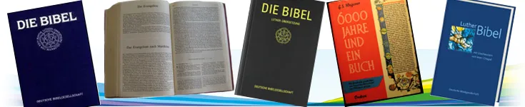 Quelle: Collage: Annette Wohlfeil Bild: Collage aus verschienen Abbildungen von Bbel und Buch über die Entstehung der Bibel