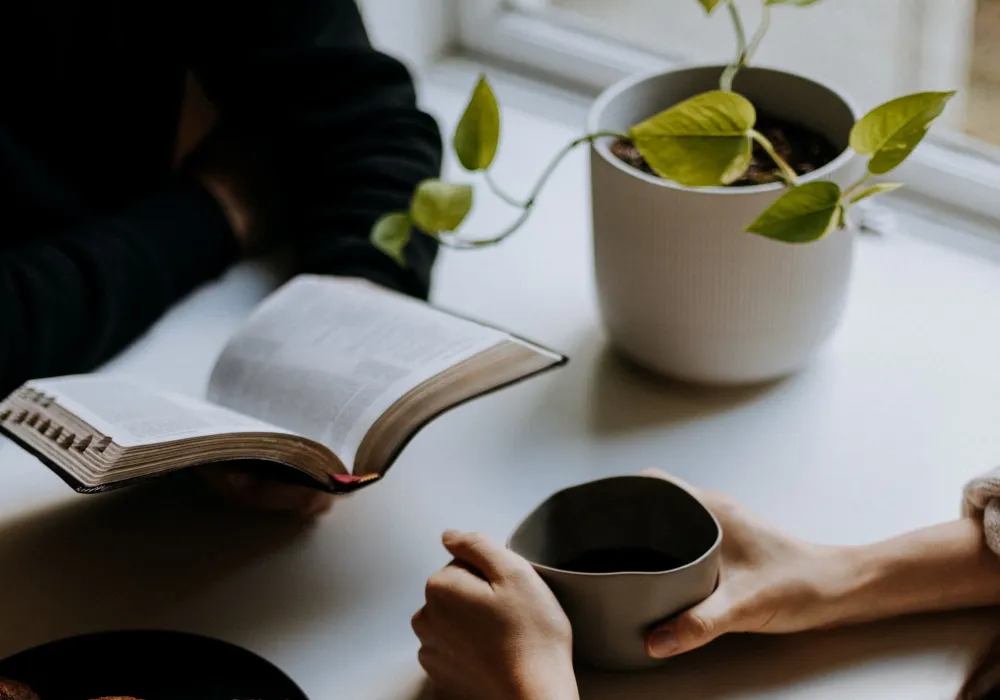 Zwei Menschen am Tisch, darauf Buch, Tasse, kleine grüne Pflanze