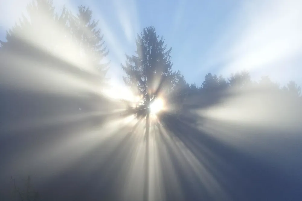 Sonne bricht durch Nebel