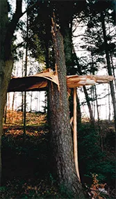 abgebrochener Baum in Form eines Kreuzes