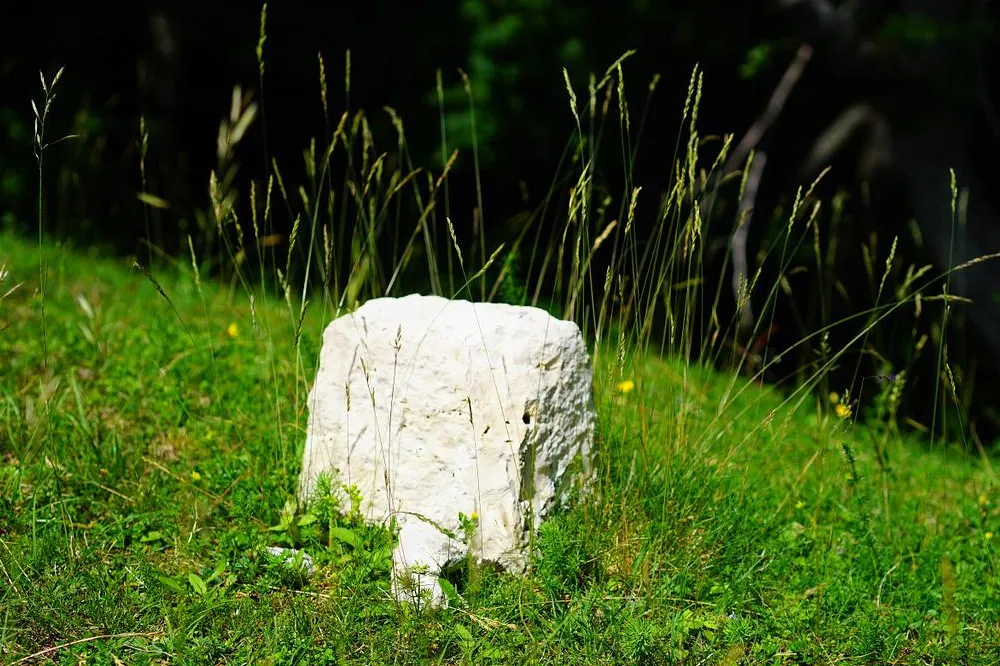 Weißer Stein in grünem Gras