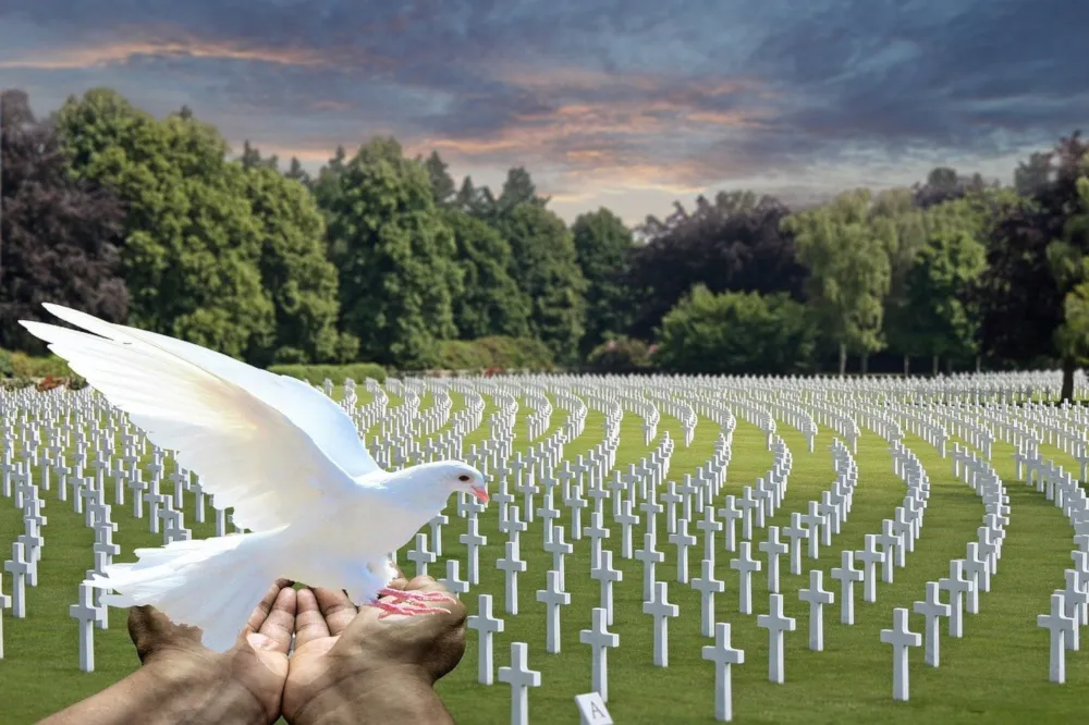 Friedenstaube vor Kriegsgräbern